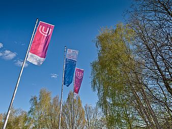 Flags of the University of Bremen.